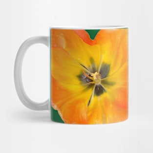 Colorful Tulip Mug